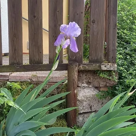 Villa Principesca Pescantina