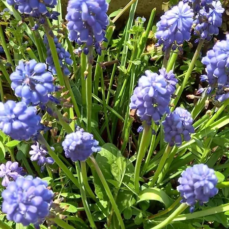 Villa Principesca Pescantina