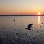 Vila Principesca *