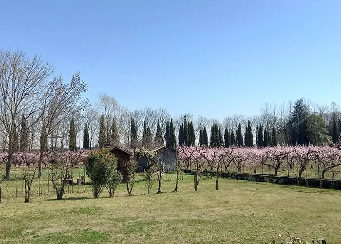 Principesca Villa